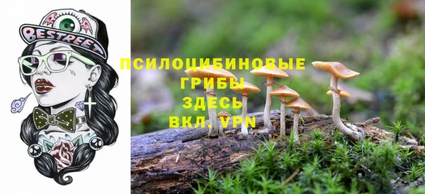 спайс Алексеевка