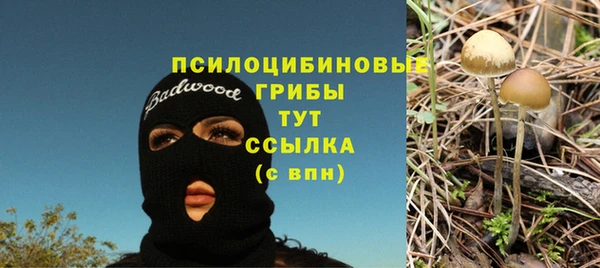 спайс Алексеевка