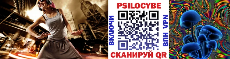Галлюциногенные грибы Psilocybe  omg зеркало  Новосиль 